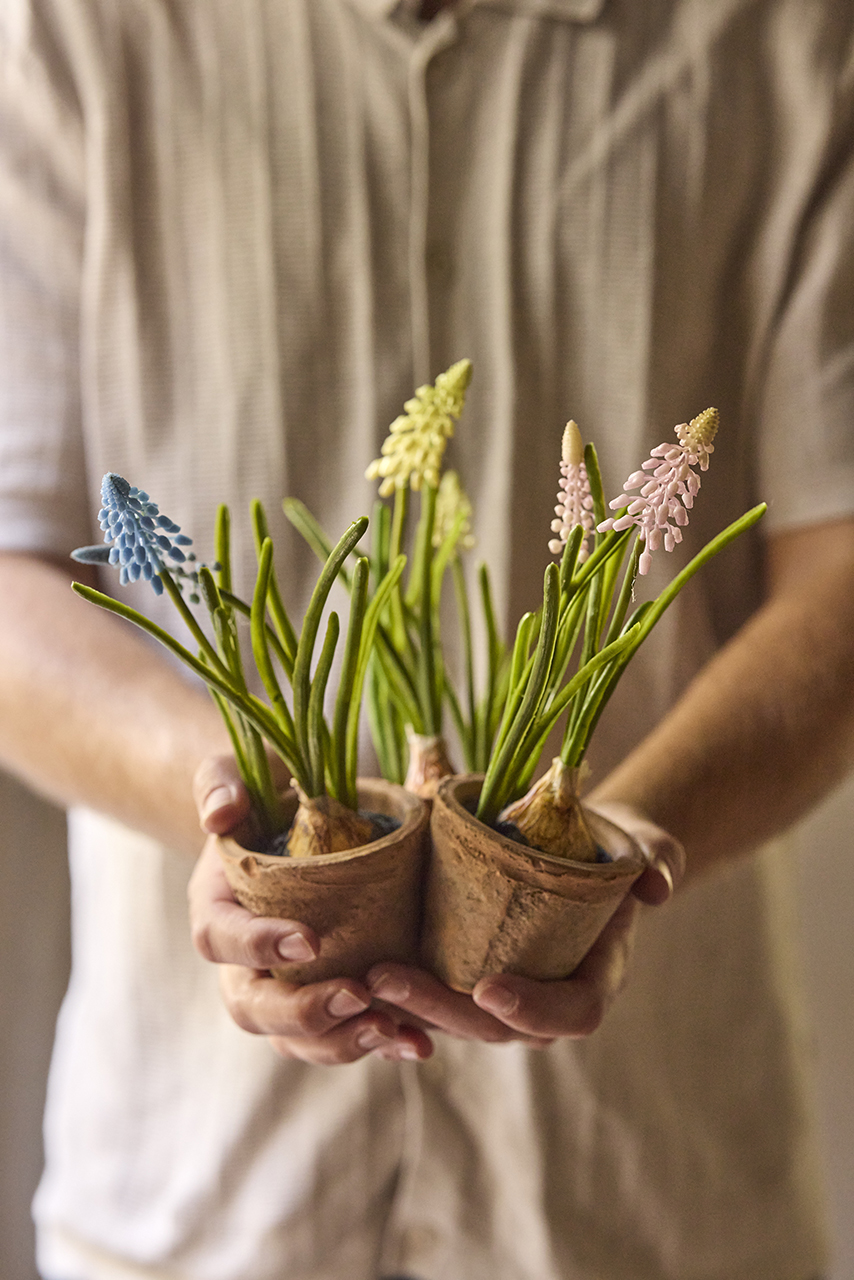 /images/imagebankSeasons/small/Mr Plant SS 2024/1534-99-1.jpg